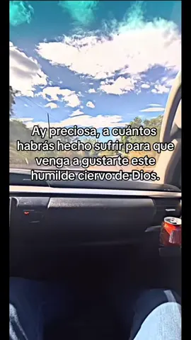 #ig #alejandro_lara0280 #fup #viralvideo #ciervo #viralvideo 
