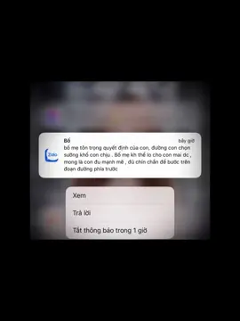 “Bố mẹ tôn trọng quyết định của con, đường con chọn sau này sướng khổ con tự chịu bố mẹ không chịu thay được nên bố mẹ không cấm nữa. Xa xôi như vậy sau này có xảy ra chuyện gì bố mẹ cũng không thể chạy đến được, gần bố gần mẹ lỡ có chuyện gì còn chạy về với bố mẹ. Bố mẹ cấm cũng không được, khuyên cũng đã khuyên rồi bây giờ bố mẹ tôn trọng quyết định của con.” Khi bố mẹ không cấm cản nữa thì lại là lúc dừng lại. Hôm nay mẹ hỏi” còn chơi với thằng ĐL không?” Con không mẹ ạ. Bọn con ct rồi mà. Sau câu trả lời đó khuôn mặt mẹ hiện lên niềm vui. 