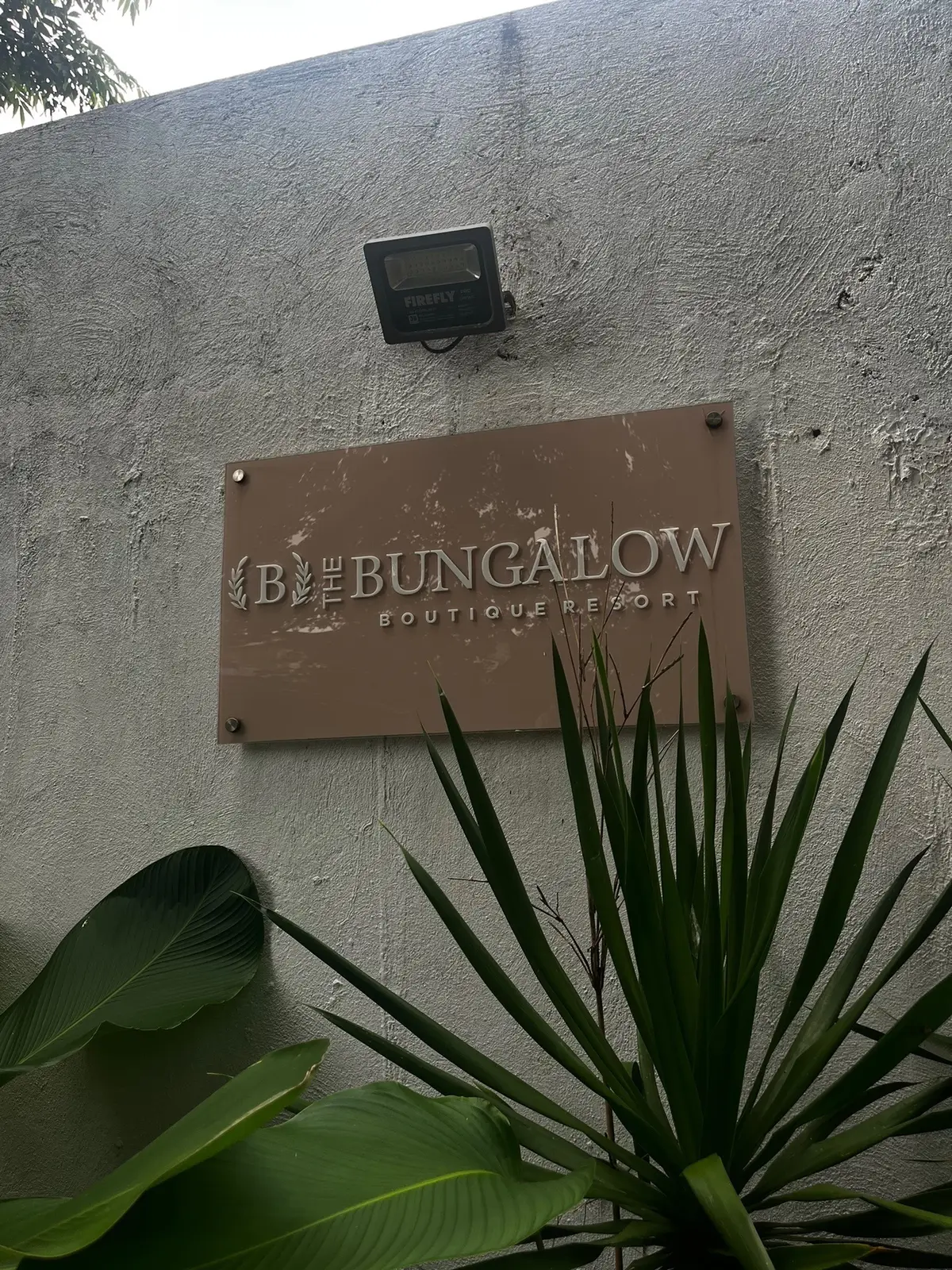 life work balance kuno