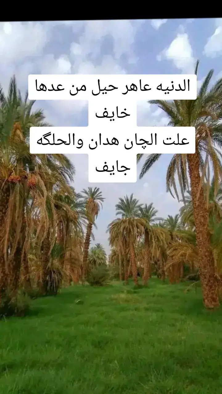 منقول #شعر #دارمي 