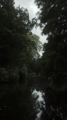 big birb  #darknature #nature #aesthetic #peaceful #darknaturalism #darkaesthetic #naturevibes #corecore #fyyy #