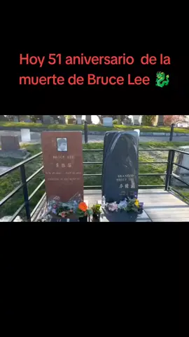 #CapCut Bruce Lee 20/7/1973-20/7/2024 #brucelee #leyenda #recuerdos #jkd #fyp #wingchunkungfu #artesmarciales #parati  #foryou 