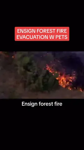 Stay safe fellow utahns 