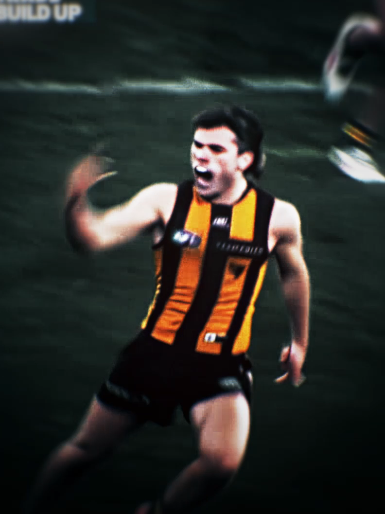 Hawks own the pies and Watto owns maynard #watto#wiz#nickwatson#afl#footy#burnsfoop#edit#hawks#hawthorn#collingwood @Nick Watson 