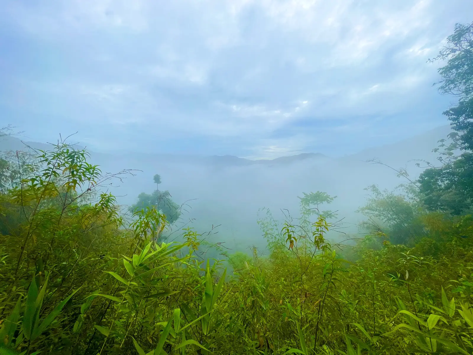 ⛰️🌳🌿📸 ธรรมชาติบำบัด ☁️ ชมวิวหมอกฟุ้งยามเช้า 🫧 สดชื่นกับบรรยากาศดีๆฟินสุดๆ💚☺️ 📍พิกัด ถนนทางหลวงหมายเลข1022 เส้นทางขึ้นภูพญาพ่อ ตำบลช่อแฮ อำเภอเมือง จังหวัดแพร่ 🇹🇭  #เปิดการมองเห็น #ถนนหมายเลข1022 #เส้นทางภูพญาพ่อ #แป๋เมืองภูพญาพ่อ #หลังคาเมืองแพร่ #วิวสวย #บรรยากาศดี #หมอก #ธรรมชาติบําบัด #tiktokพาเที่ยว #tiktoklocalservice #เที่ยวฤดูฝน #เที่ยวเมืองไทยไม่ไปไม่รู้ #ดันขึ้นฟีดที 