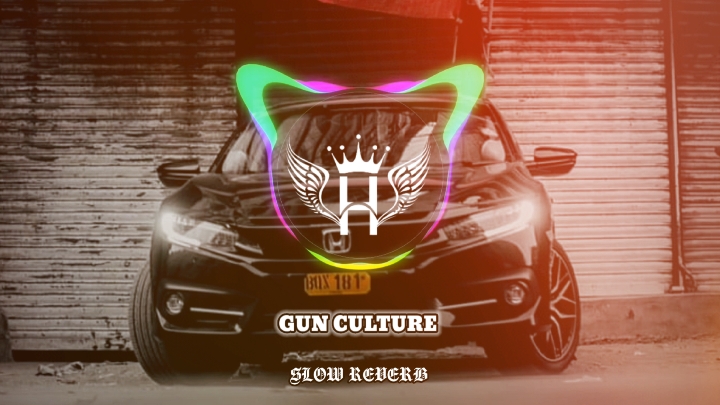 gun culture #song #typ #grow #foryoupage 