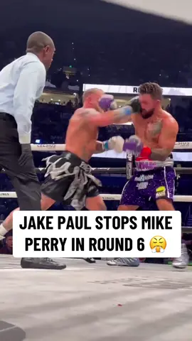 #Jakepaul #MikePerry #PaulPerry #boxing #combatsports (via @Most Valuable Promotions)