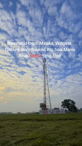 #kalosoalmanis #AnakWoletBoladokar🏝️ #Yangstel #mumeretiktok🤍🌴 #nttpride🏝 