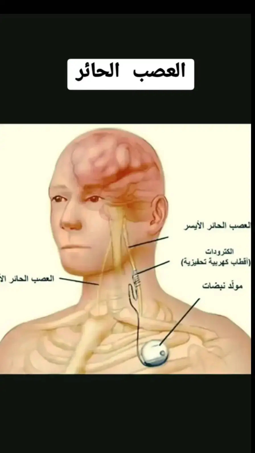 #طب #معلومات #حقائق_ومعلومات 