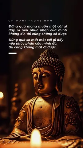 Đừng quá sợ mất một cái gì... #phatgiao #phatphap #buddha #daophat #phatphapnhiemmau #xuhuong 