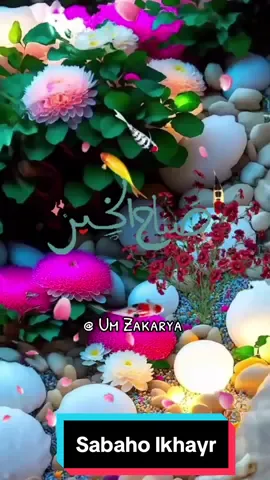 Sabaho lkhayr#anachid#fouryoupage #pourtoii #viralvideo #mouchahadat #tiktokindia #flypシ #france🇫🇷 Belgien-Espagne-Deutschland #@marina🥰 #@easy.kitchen_ 
