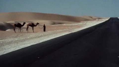 قلبي اللي كل ما سج عود في عناه. #اكسبلورexplore #explore #وعيل #نجران_يام #نجران #يام #منكوس_مسحوب  