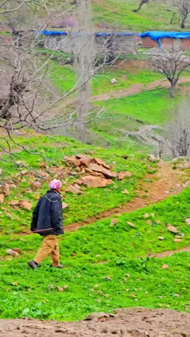 ئـەوەی رۆی تـەمـەن بــوو ئـەوەی  🌝نـەگـەرایـەوە جــوانی بــوو #kurdistan #foryou #foryoupage #explore #explorepage #viral #viralvideo #fyp #fypシ #rasty_lak #im_ravo✅ #tiktok 