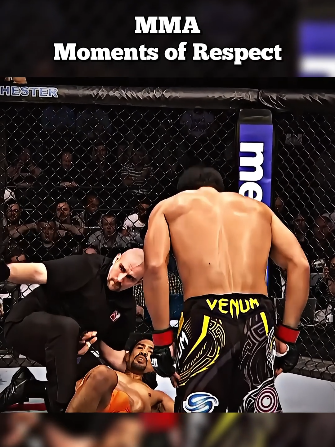 MMA Moments of Respect #mma #respect #sportsmanship #lyotomachida #jonjones #rumblejohnson #natediaz #andersonsilva #UFC #viral #fyp