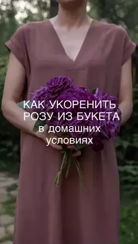 Как укоренить розу из букета 🌹🤩💯👍👍👍