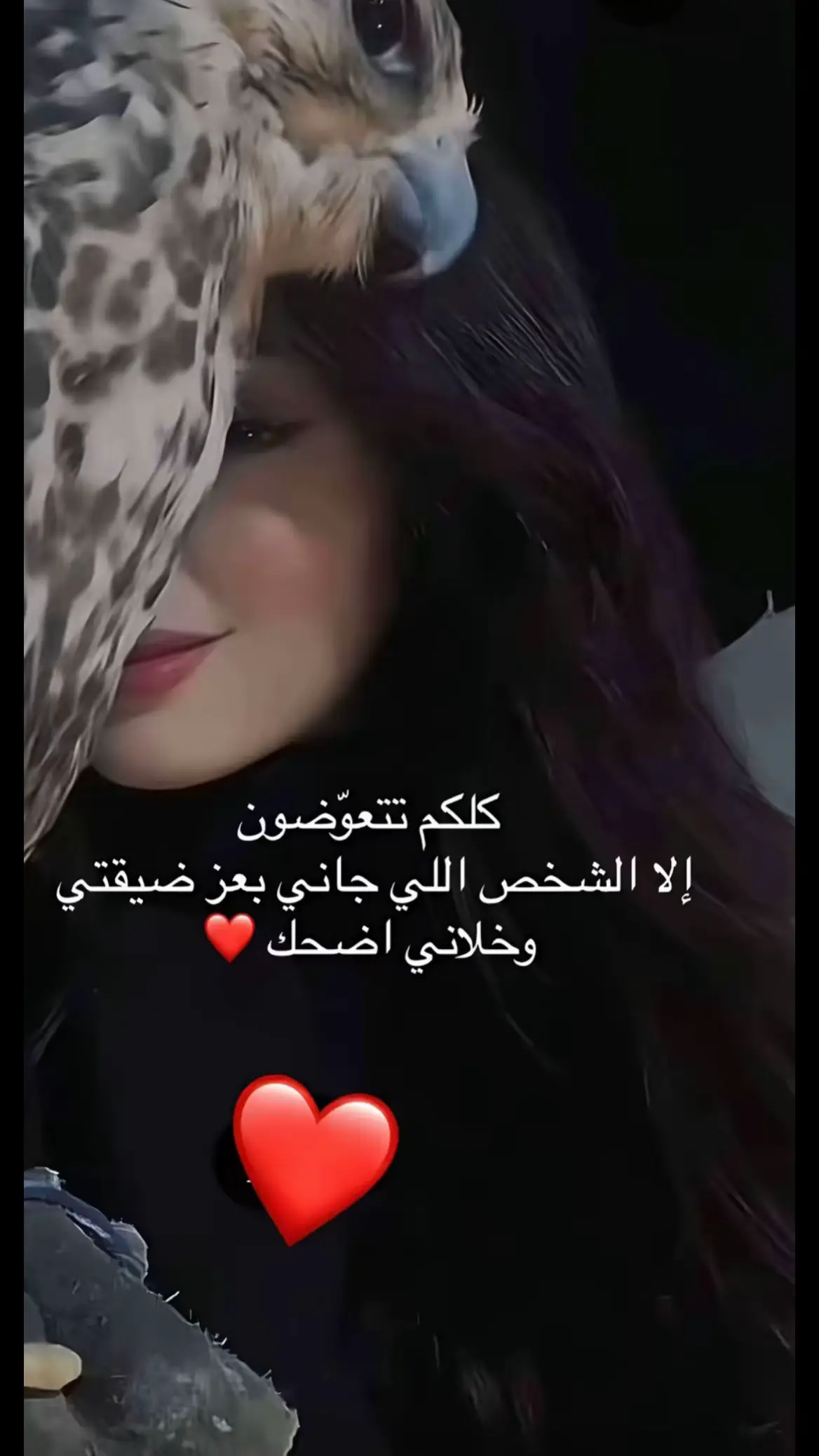 مساء الخير 💕#####اكسبلورر 