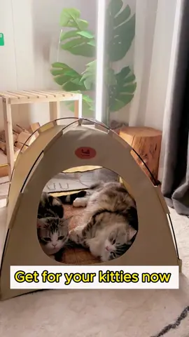 Cats should experience camping life 😭🐈#cattent #catcamping #campinghacks #cat #catsoftiktok #catlover #foryou 