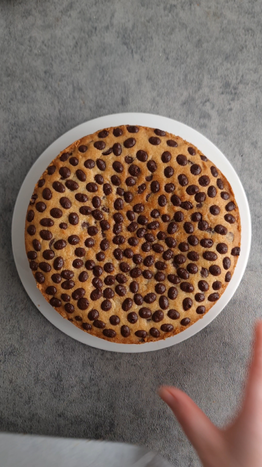 le fondant cookie pour la pâte :  200g de beurre mou 120g de cassonade  1 œuf vanille 2càs de lait  1/2 càc de bicarbonate  1/2 càc de fleur de sel 350g de farine  100g de pépites de chocolat  la crème pâtissière chocolat  250g de lait 1 œuf  20g de maïzena  30g de sucre 50g de chocolat  dans une casserole mélanger l'œuf avec le sucre et la maïzena, ajouter le lait, mettre sur le feu et faire cuire jusqu'à ébullition  ajouter le chocolat, filmer au contact et laisser refroidir. détendre avec un fouet avant de garnir le tarte. cuisson 20 min à 190° 🇺🇸 Cookie pie with chocolate pastry cream for the dough: 200g soft butter 120g brown sugar 1 egg vanilla 2 tbsp of milk 1/2 tsp baking soda 1/2 tsp fleur de sel 350g flour 100g chocolate chips chocolate pastry cream 250g of milk 1 egg 20g cornstarch 30g of sugar 50g of chocolate in a saucepan mix the egg with the sugar and cornstarch, add the milk, put on the heat and cook until boiling add the chocolate, cover with film and leave to cool. relax with a whisk before filling the tart. cooking 20 min at 190°