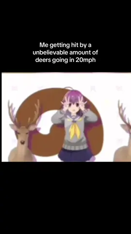 #nokotan #fyp #deers #anime 