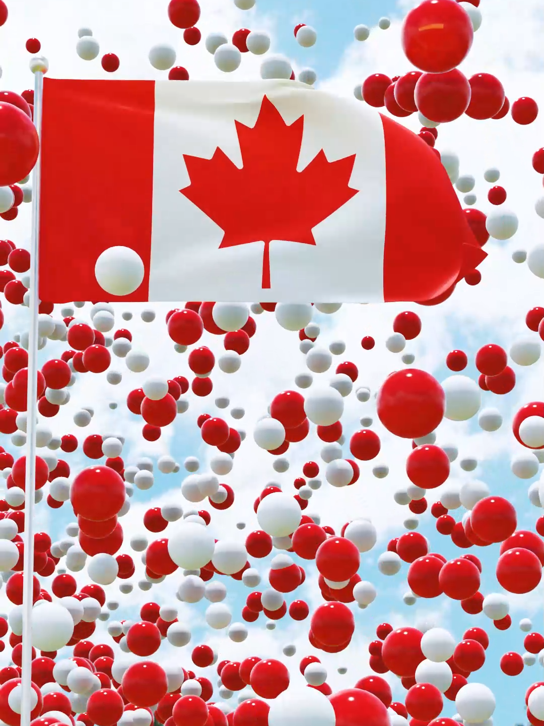 The flag of Canada, known as the Maple Leaf, features two primary colors: red and white #amazingcanadian #canadianflag #flaganiamtion #flag #flags #amazing #tiktokcanada #animate #ball #ballcolors #3danimation #3d #blender #CanadaFlag #CanadaLove #AmazingAnimation #BeautifulFlag