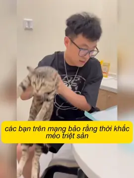#dongvat #cuocsong #haihuoc #thinhhanh #trending #khampha #fpy #xuhuong #funny #meow 