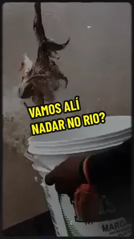 PODE IR... SÓ UMA NADADINHA 💀 #rio #monstrosdorio #amazon #amazonia #parati #scary #fishing 