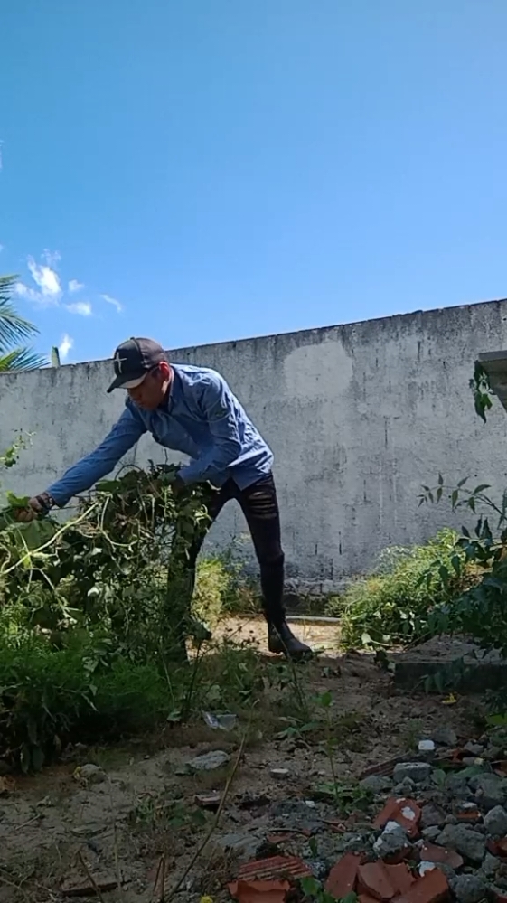 Dia de limpar o quintal! 💪💪 . . #roca #humildad #sertao #ceara #brasil #viralvideo #viraltiktok 