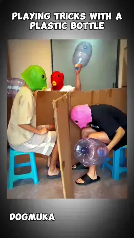 Playing tricks with a plastic bottle #funny #funnyvideos #amazing #funny videos #fyp #dogkuma 