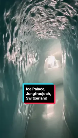 The Ice Palace of Jungfraujoch, Switzerland ❄️ #switzerland #jungfrau #cave #sculpture #travel #adventure #glacier #traveltok #adventuretok 