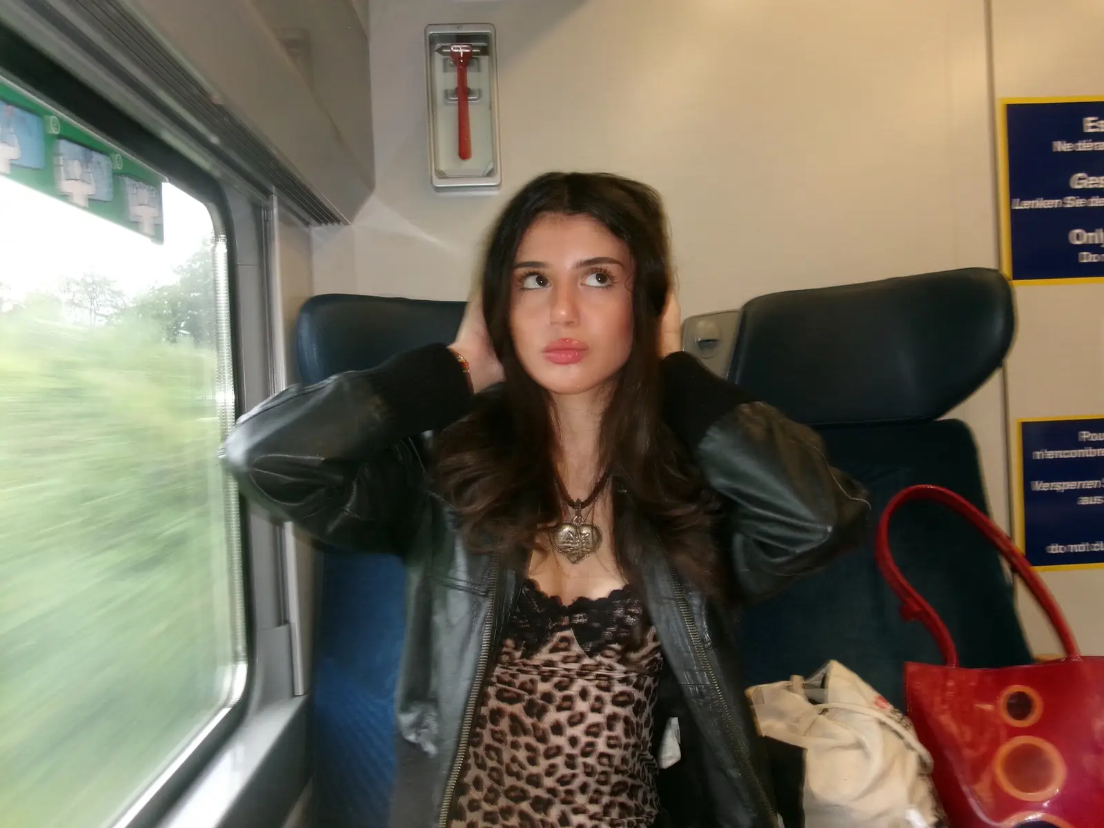 some pictures in the train #fyp #leopard #pictures 