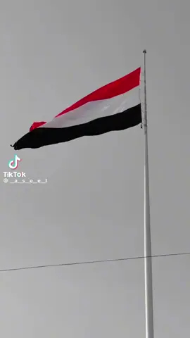 #هنه_اليمن_يحفظها_الله #اليمن_الحديده_صنعاء_تعز_اب_ذمار_عدن_وطن_واحد 