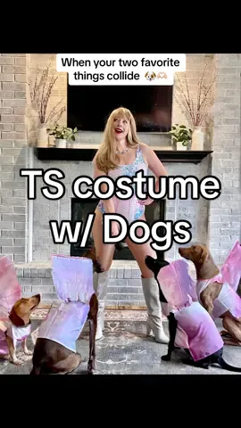 Trick or Treat high in the quiet of the night, you know thst I caught it. #TSTheErasTouronTikTok #taylorswift #taylornation #erastour #theerastour #swifties #swiftok #dogsincostumes #dogsoftiktok #foryoupage #taylorswifthalloween #swifttok #dogsoftiktok 