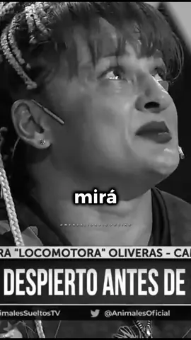 La Vida es Hermosa..... #locomotora #boxing #boxeo #argentina #parati #paratii #paratiiiiiiiiiiiiiiiiiiiiiiiiiiiiiii #fyp #fypシ #fypシ゚viral  #exito #citas #viral #quotes #desarrollopersonal #fyp #crecimientopersonal #emprendimiento #frases #mindset #motivacion #parati #disciplina #mentalidad #estoicismo #superacionpersonal #motivation #mentality #millonario #millonarios #desarrollopersonal #prime #valor #setter #editor #marcapersonal 