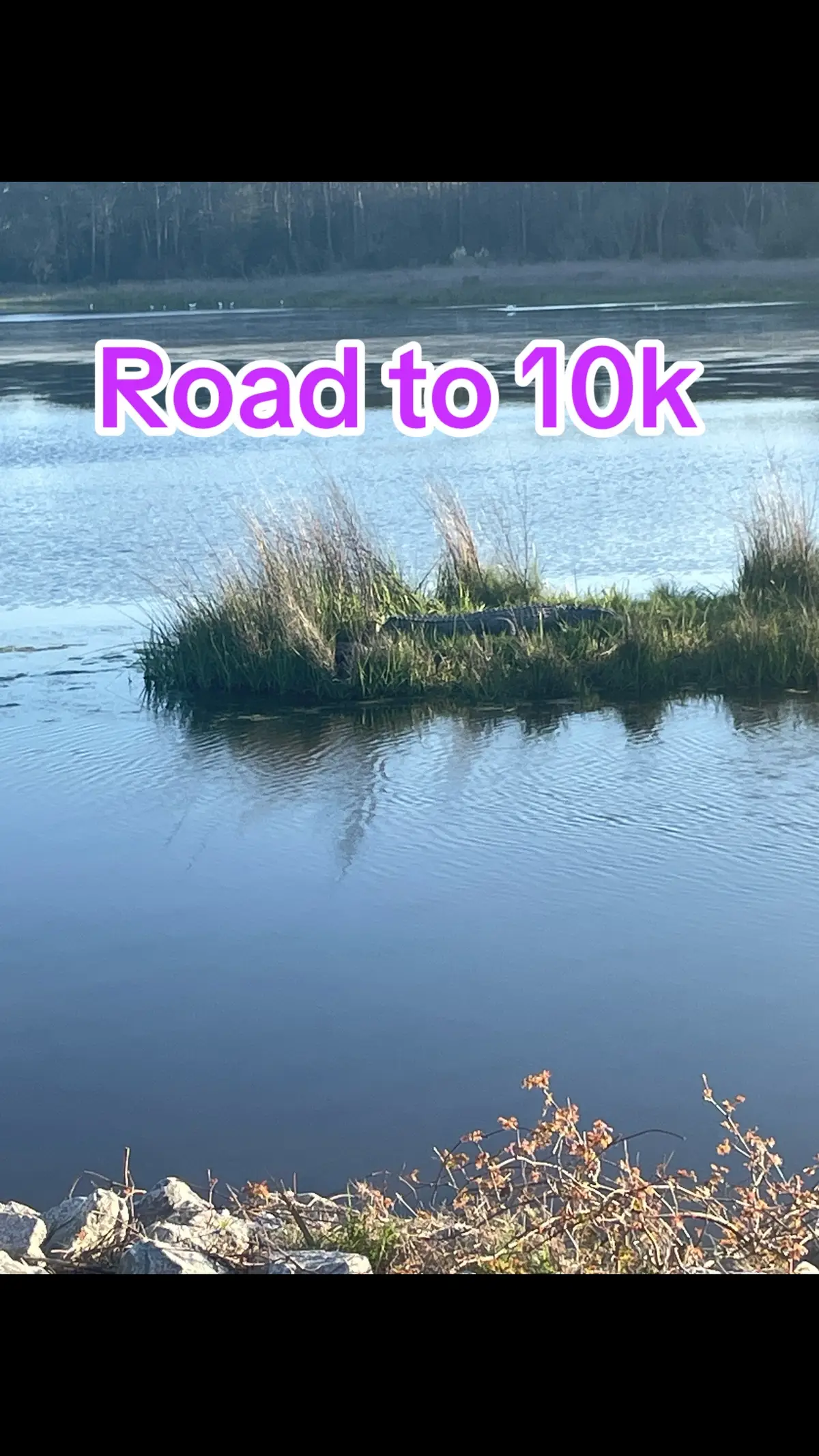 Where my engaging besties at? #roadto10k #growth #like #comment #share #repost #engage #besties #support #support_me #mama #mom #MomsofTikTok #tiktok #friends 