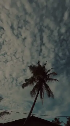 මයකාරි වලාකුළු 😩☁️. For admin . . . . #fyp #foryou #foryoupage #fyppppppppppppppppppppppp #fypシ゚viral #fypage #onemillionaudition #onebillionaudition #viraltiktok #viral #trending #for_admin❗ #for_admin❕ #background #backgroundvideo #sayuru_nirmal #ama_001 #whatsappstatus #wadan #beach #beachvibes #cloud #clouds #sky #evening #eveningvibes #cinematic #cinematography #aesthetics #aestheticvideos #srilankan_tik_tok🇱🇰 