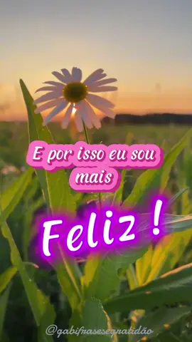 Bem Quere-(Alex Gonzaga)🌺🌺🌺 #musicagospel #louvor #musicanacional #musica #gratidao #deuseamor #bomdia#segundafeira  #musicadodia @Angelo campos @elianecoelho531 @Flávia Lopes @Val Rister 