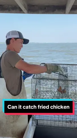 CAN IT CATCH?! Fried Chicken  #bodkinpointseafood #fvsoutherngirl #youaintnocrabber #Maryland #crabbing #chesapeakebay #seafood #SmallBusiness #commercialfishing #crabber #DIY #crab #crabfishing #buylocal #maintenance #canitcatch #crabbingseason #friedchicken