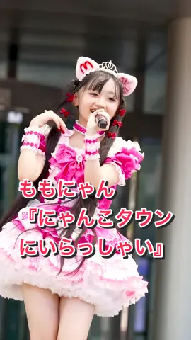 ももにゃん  『にゃんこタウンへいらっしゃい』 #アイドル #にゃんこタウン #ももにゃん