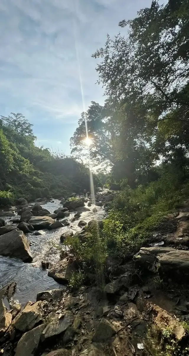 pict sungai vibes #sungai #alam #healing #fyp 