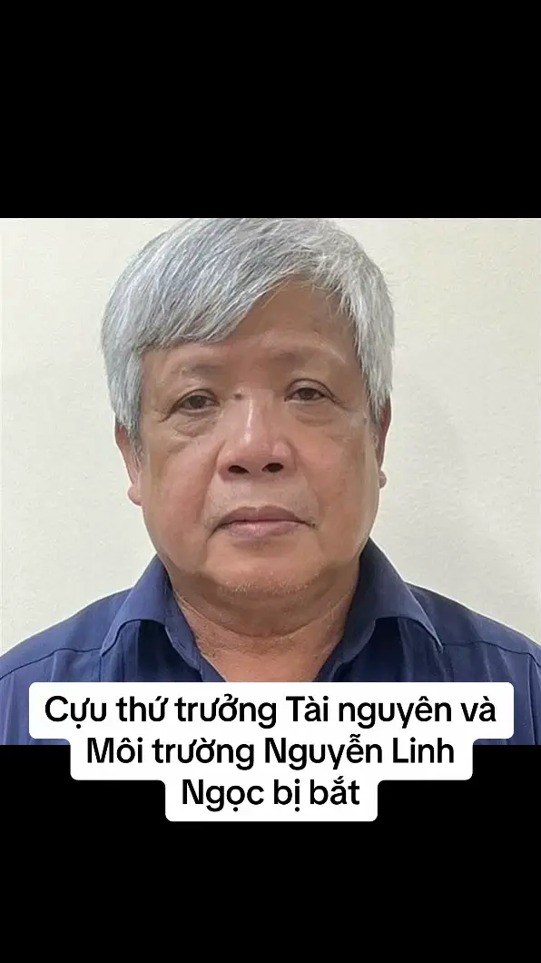 Ông Nguyễn Linh Ngọc, cựu thứ trưởng Tài nguyên và Môi trường; Nguyễn Văn Thuấn, cựu tổng cục trưởng Tổng cục Địa chất và Khoáng sản Việt Nam, bị bắt trong cùng vụ án. Ngày 22/7, Cục Cảnh sát điều tra tội phạm về tham nhũng, kinh tế, buôn lậu (C03, Bộ Công an) cho biết đã bắt tạm giam ông Nguyễn Linh Ngọc; Nguyễn Văn Thuấn; Hoàng Văn Khoa, cựu Vụ trưởng Khoáng sản, Tổng cục Địa chất và Khoáng sản Việt Nam; Hồ Đức Hợp, Giám đốc Sở Tài nguyên – Môi trường tỉnh Yên Bái; Lê Công Tiến, Phó giám đốc Sở Tài nguyên và Môi trường tỉnh Yên Bái về tội Vi phạm quy định về quản lý, sử dụng tài sản Nhà nước gây thất thoát, lãng phí. Cùng tội danh, hai người bị khởi tố, cấm đi khỏi nơi cư trú là Bùi Đoàn Như, nguyên trưởng phòng Khoáng sản, Sở Tài nguyên và Môi trường tỉnh Yên Bái; Lê Duy Phương, cựu chuyên viên chính Vụ Khoáng sản. Các quyết định, lệnh nêu trên đã được VKSND Tối cao phê chuẩn. Đây là diễn biến mới khi Bộ Công an mở rộng điều tra vụ án Vi phạm quy định về nghiên cứu, thăm dò, khai thác tài nguyên; Vi phạm quy định về kế toán gây hậu quả đặc biệt nghiêm trọng; Buôn lậu; Tiêu thụ tài sản do người khác phạm tội mà có; Vi phạm quy định về quản lý, sử dụng tài sản Nhà nước gây thất thoát, lãng phí xảy ra tại Công ty CP Tập đoàn Thái Dương và các đơn vị liên quan. Kết quả điều tra ban đầu xác định, ông Đoàn Văn Huấn, Chủ tịch HĐQT kiêm Tổng giám đốc Công ty cổ phần Tập đoàn Thái Dương; Nguyễn Văn Chính, Phó tổng giám đốc, kiêm Kế toán trưởng đã chỉ đạo khai thác, tiêu thụ trái phép hơn 11 triệu kg quặng đất hiếm có trị giá khoảng 440 tỷ đồng và 152 triệu kg quặng sáng trị giá 192 tỷ đồng. Từ sai phạm này các bị can đã hưởng lợi bất chính 632 tỷ đồng. Theo cáo buộc, ông Huấn và Chính còn thỏa thuận với Công ty cổ phần Đất hiếm Việt Nam và Công ty Hợp Thành Phát trong quá trình mua bán quặng đất hiếm và quặng sắt, xuất hóa đơn VAT giảm số lượng và đơn giá bán thực tế. Việc này giúp Công ty cổ phần Tập đoàn Thái Dương để ngoài sổ sách kế toán hơn 28 tỷ đồng thu được từ việc bán quặng đất hiếm và quặng sắt, không thực hiện nghĩa vụ kê khai nộp thuế, gây thiệt hại (tạm tính) cho Nhà nước trên 7,5 tỷ đồng. Tháng 10/2023, ông Huấn, Chính đã bị Cơ quan Cảnh sát điều tra (Bộ Công an) khởi tố, tạm giam để điều tra về tội Vi phạm quy định về nghiên cứu, thăm dò, khai thác tài nguyên và Vi phạm quy định về kế toán gây hậu quả nghiêm trọng. Ông Đặng Trần Chí, Giám đốc và bà Phạm Thị Hà, kế toán Công ty Hợp Thành Phát, Lưu Anh Tuấn, Chủ tịch HĐQT và Nguyễn Thị Hiền, kế toán Công ty cổ phần Đất hiếm Việt Nam, bị bắt với cáo buộc Vi phạm quy định về kế toán gây hậu quả nghiêm trọng. #botainguyenmoitruong #thutruong #xuhuong 