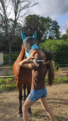 @/saequinetherapy su Instagram 🦋🌹 #bodywork #massaggioequino #osteopatiaequina #cavallo #perte #equitazione #neiperte 