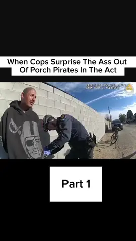 #cops #copsoftiktok #fyp 