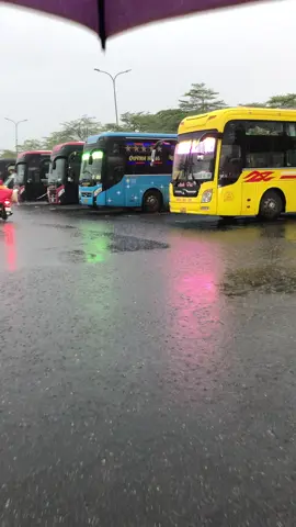 Đà nẵng mưa quá #tiktokxekhach #xekhachvietnam🇻🇳 #xekhachvietnam #benxedanang #trungtamdang #dammexekhach 