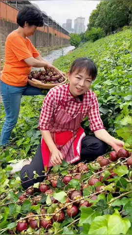 OMG😱🥰😇🔥✨what fruit?✨#top #fyp #happy #asmr #fruit #foryou #fresh #smile 