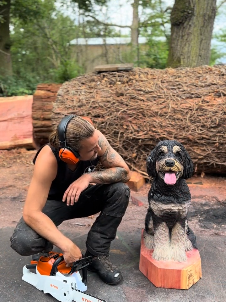 Sculpting the First of a Pair of Sweet Bernedoodles 🥹💙 #dog #bernedoodles #bernedoodlesoftiktok #chainsaw #woodworking #art #artistsoftiktok #doglove