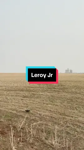 One of the best things abour making these videos has been getting @therealleroyjr involved too! #Family #Memories #RoadTrip 