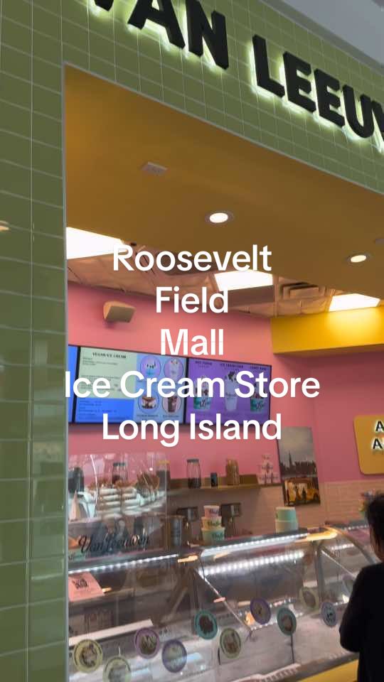 We bought this brand from wholefoods last year and it’s really good plus clean ingredients. It’s a nice new addition to Roosevelt Field Mall Long Island #icecream #longisland 