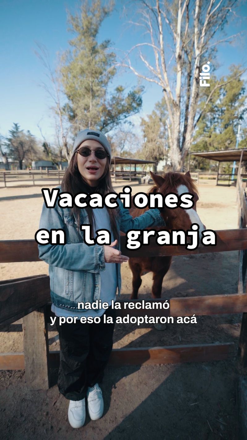 🐷 Vacaciones en la granja 🐮    🎙️#Turisteando x @Anto Punzino    🔙 La Granja Don Benito nació en el 2017 ante la necesidad de crear un espacio educativo realizando el rescate, rehabilitación y derivación a hogares seguros de caballos víctimas de tracción a sangre animal.     🫶 También, reciben a otras especies víctimas de maltratos o de domesticación forzada.    ✨️ Además, cuenta con un parque aéreo para niños y adultos con tirolesas, puentes colgantes y una palestra de escalada de 12 metros de altura.    🗺 Para poder visitarlos, toda la info en @granjadonbenito    💬 Y vos ¿qué planes tenés en estas vacaciones? 🔽    #BuenosAires #VacacionesDeInvierno #Turisteando #FiloNews #Animales