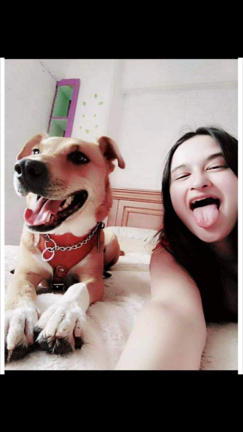 Tantas cosas que este perrito guapo me ha enseñado. 🥰🐕💚 #diadelperro #perrito #doglover #amorporlosperros #paratiiiiiiiiiiiiiiiiiiiiiiiiiiiiiii 