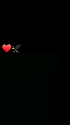 #👏🦅❤ #ورشفانه_الزهراء_طرابلس_جنزور_الزاوية #صرمان_صبراته_طرابلس_ليبيا❤️ #بنغازي_ترهونه_رجمة_سرت_طبرق #تونس🇹🇳ليبيا🇱🇾الجزائر🇩🇿المغرب #متابعة_لايك 
